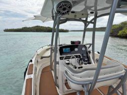 
										PROMARINE OPEN 21 full									