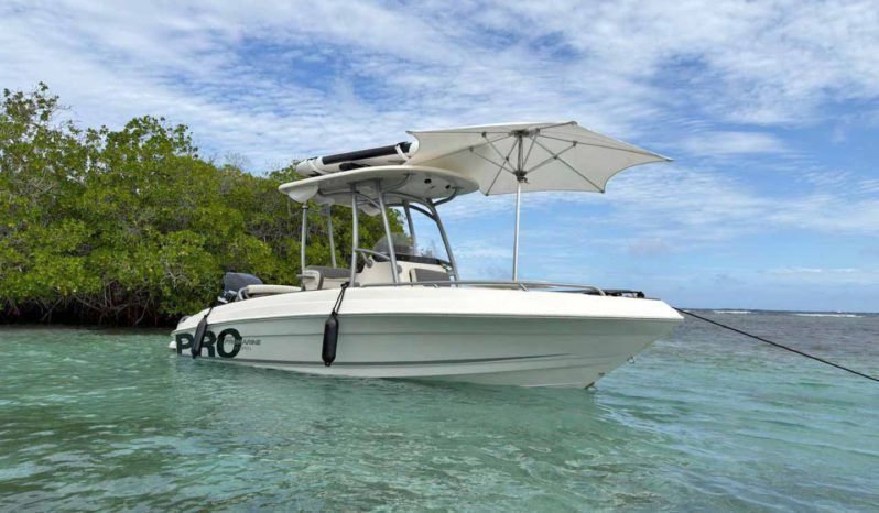 
								PROMARINE OPEN 21 full									