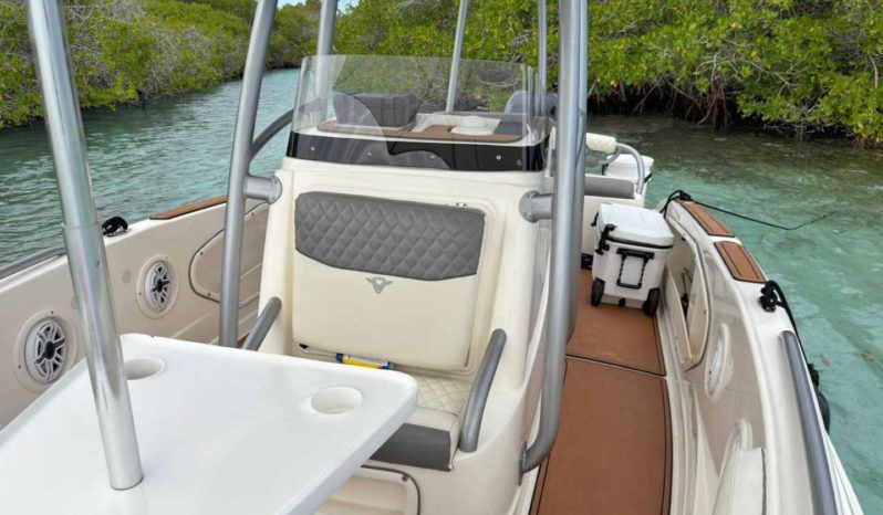 
								PROMARINE OPEN 21 full									