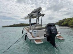 
										PROMARINE OPEN 21 full									