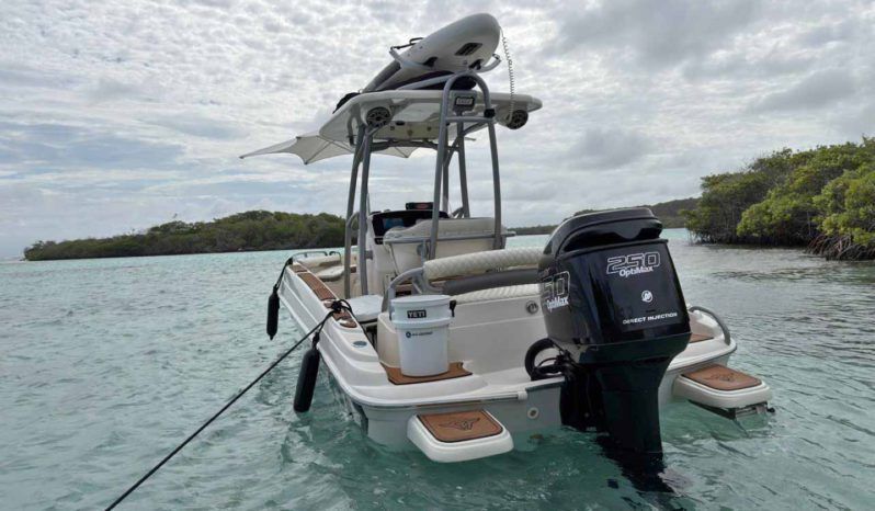 
								PROMARINE OPEN 21 full									