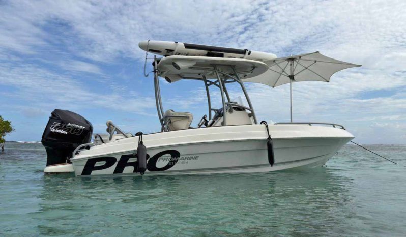 
								PROMARINE OPEN 21 full									