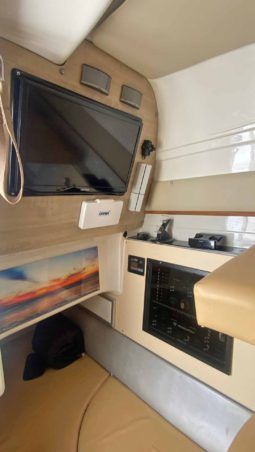 
										PRONAUTICA SPORT 40 full									