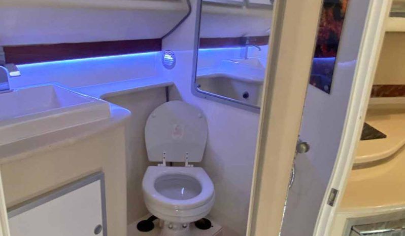 
								PRONAUTICA SPORT 40 full									