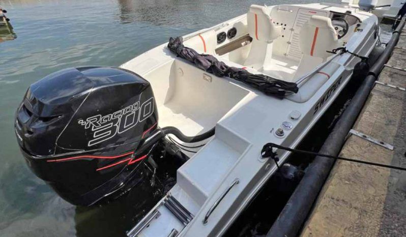 
								SANTOS SPORT 22.6 full									