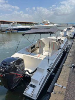 
										SANTOS SPORT 22.6 full									