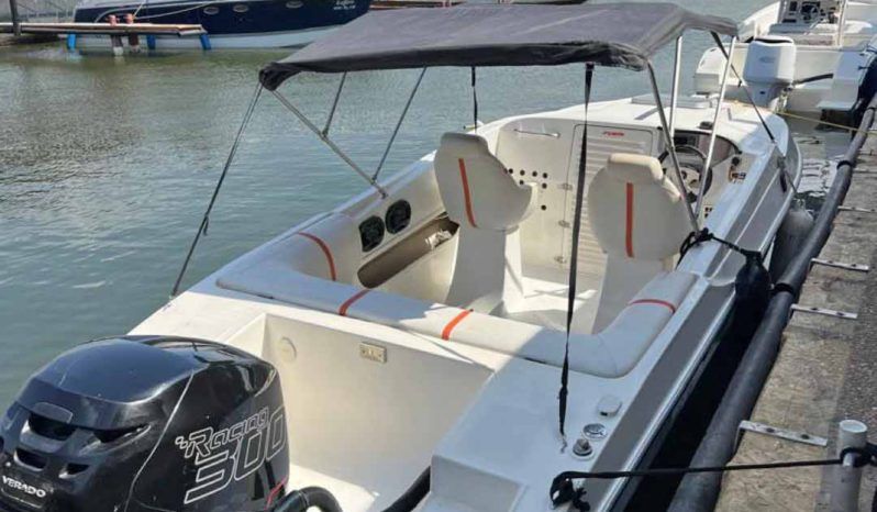 
								SANTOS SPORT 22.6 full									