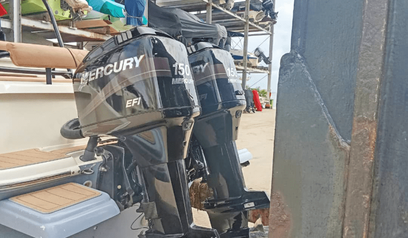 
								PROMARINE SPECIAL EDITION 23 full									