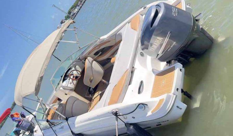
								SEA RAY 23 full									