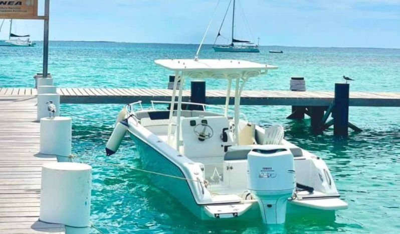 
								COMMANDER OPEN 24 full									