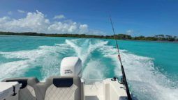 
										COMMANDER OPEN 24 full									