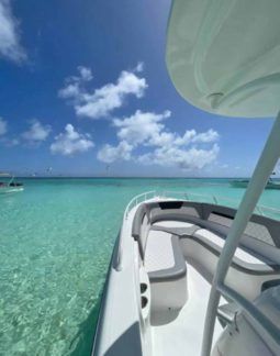 
										COMMANDER OPEN 24 full									