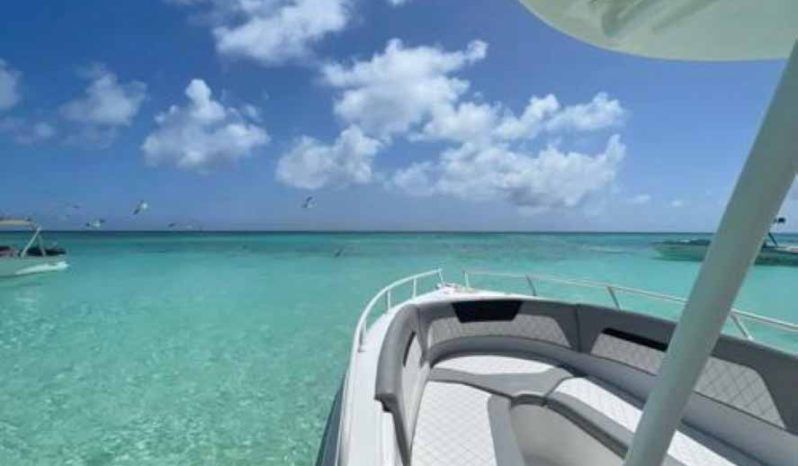 
								COMMANDER OPEN 24 full									