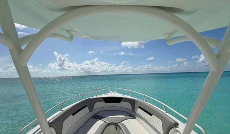 
								COMMANDER OPEN 24 full									