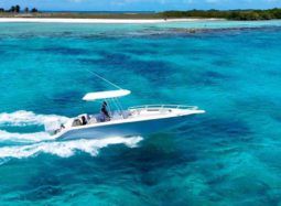 
										COMMANDER OPEN 24 full									